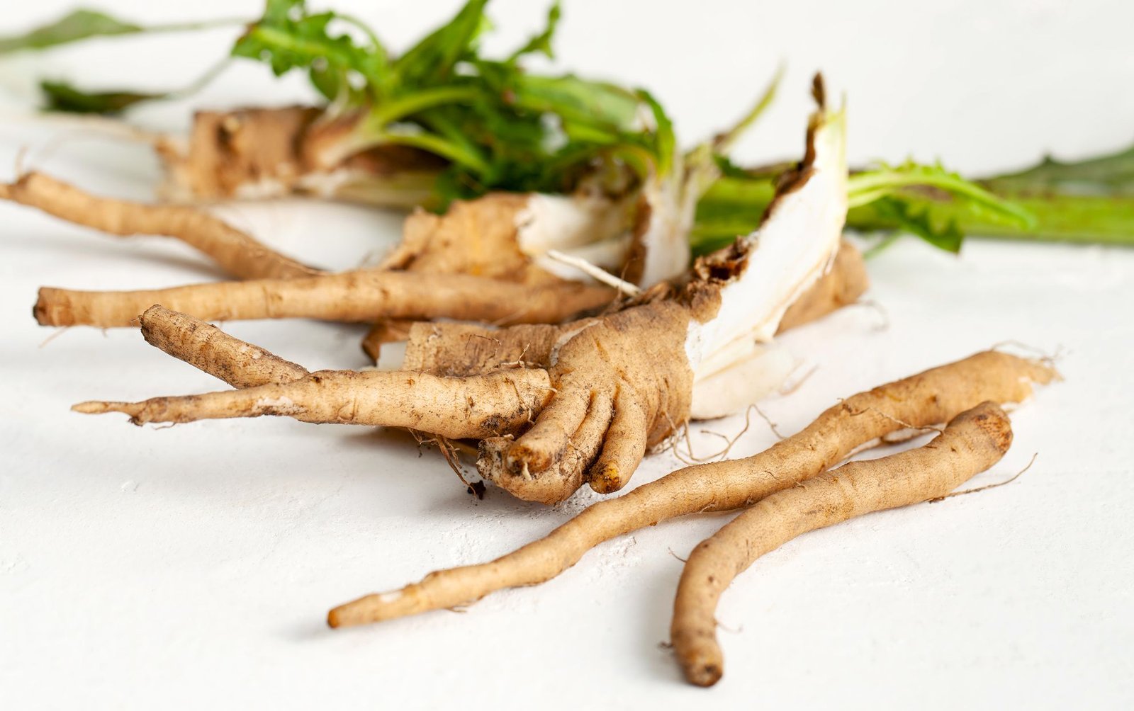 Chicory Root Inulin