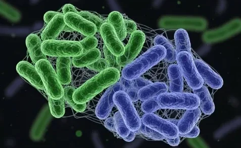 SodaTide Probiotic Blend